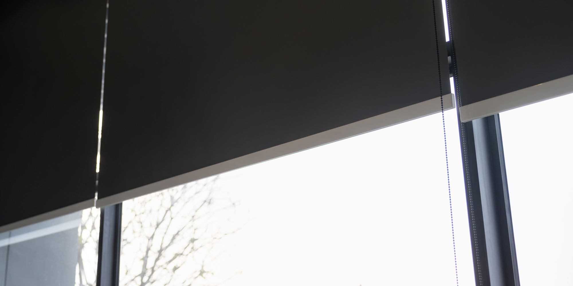Blackout blinds in a window