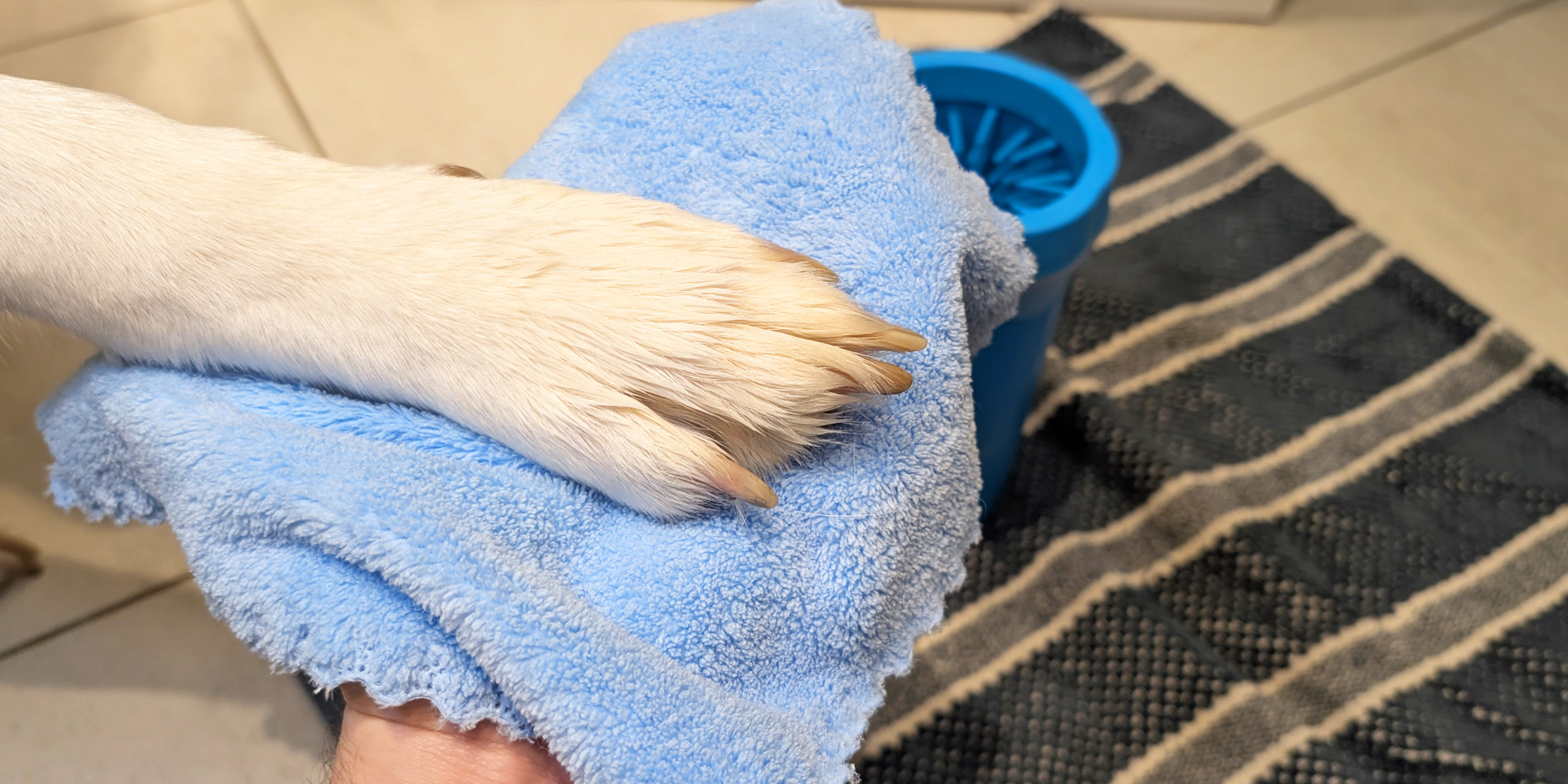 The end result after a couple of minutes