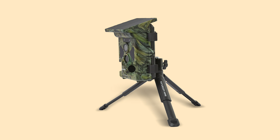 NatureSpy Helarctos Solar Trail Camera