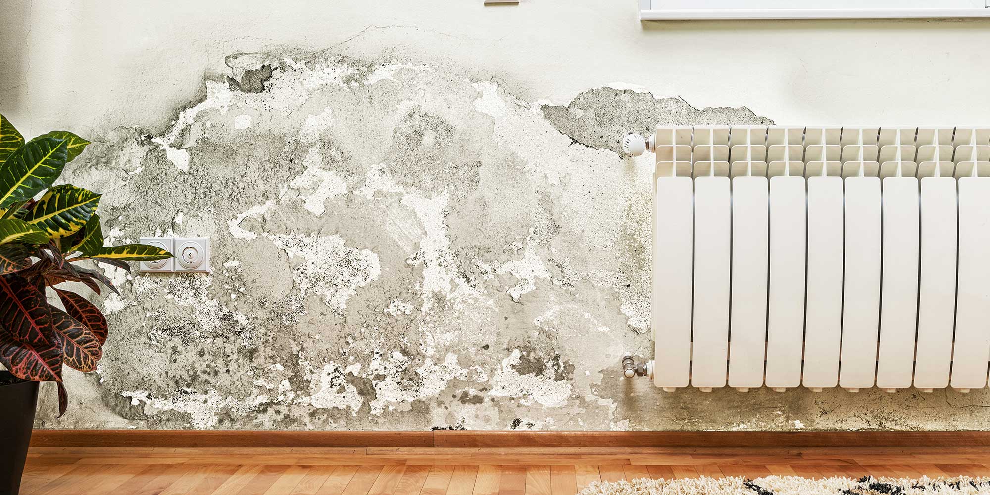 a damp wall
