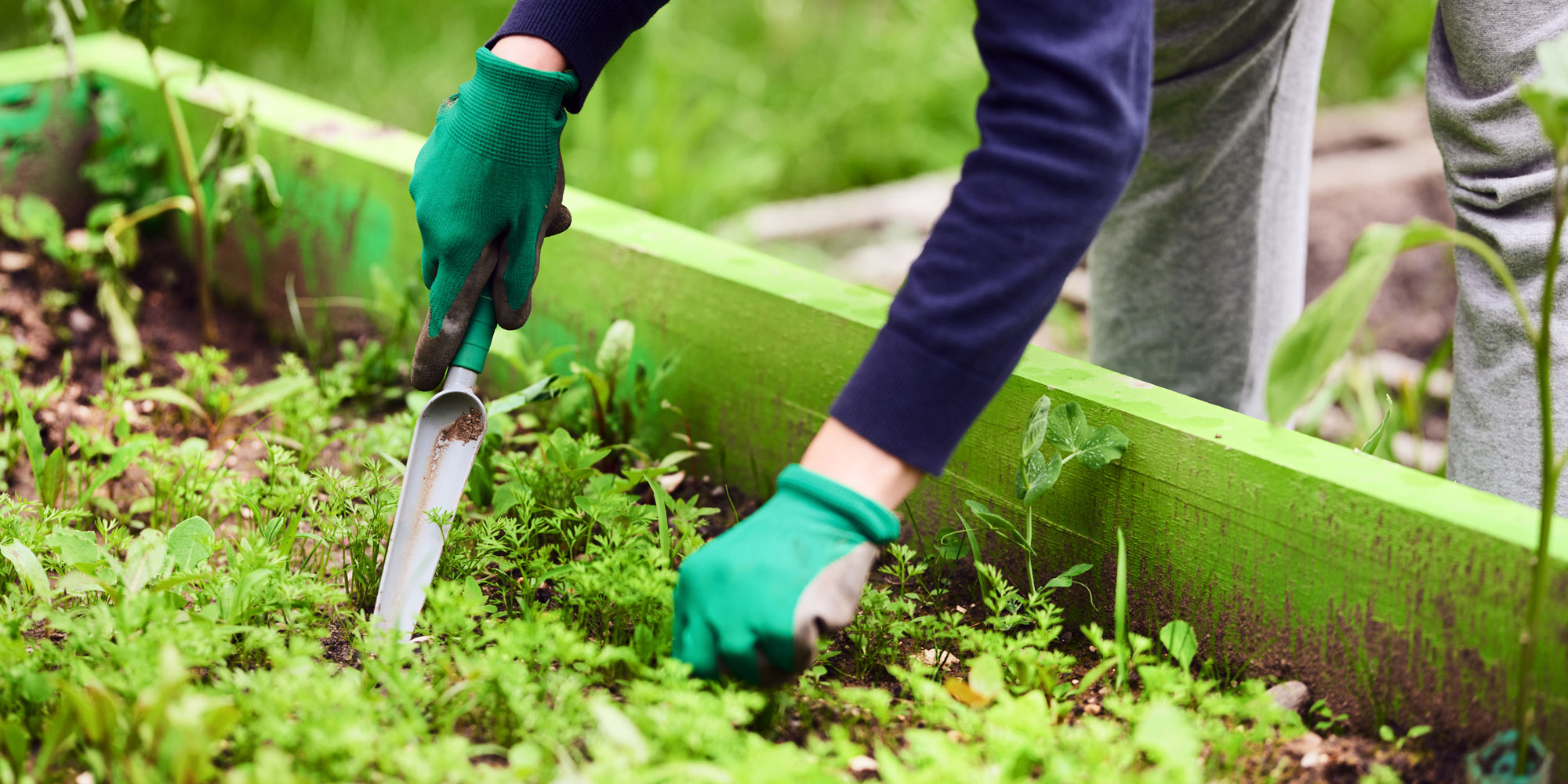 Weeding trowel