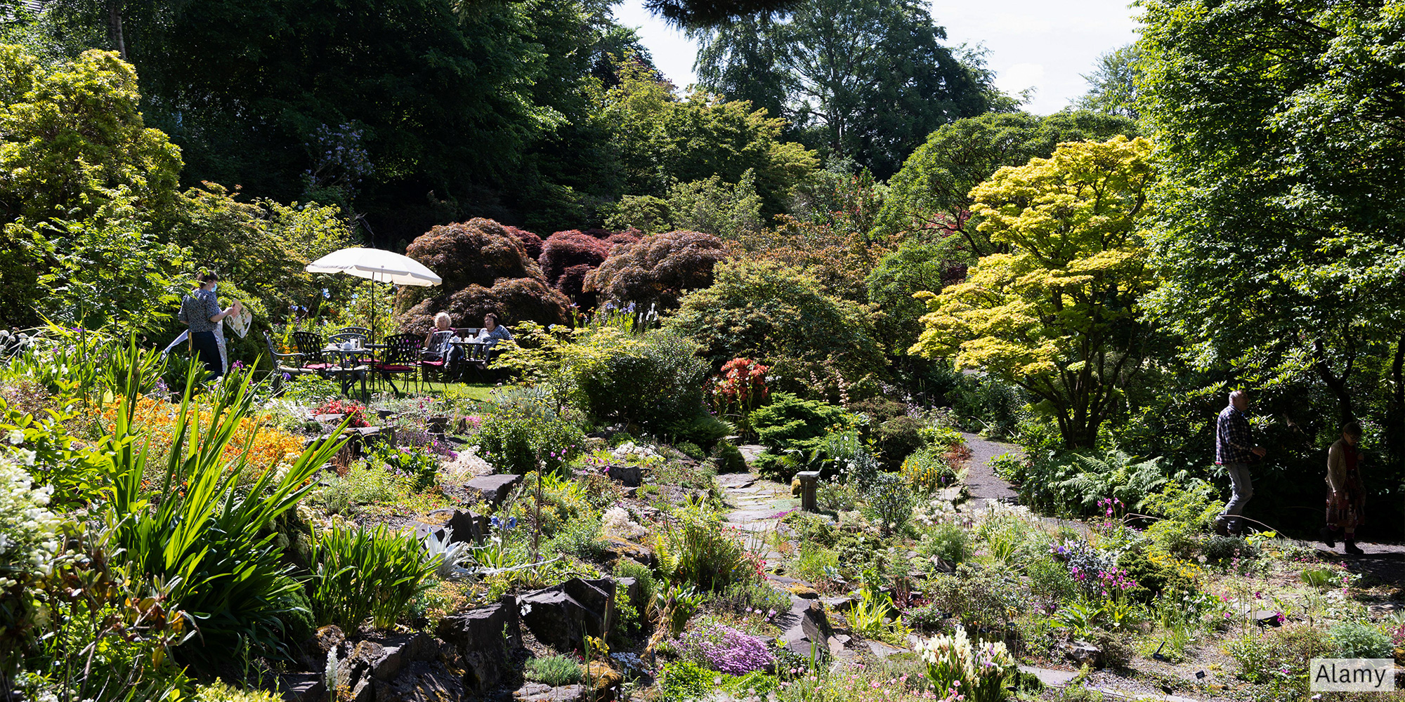 Branklyn Garden, Perth