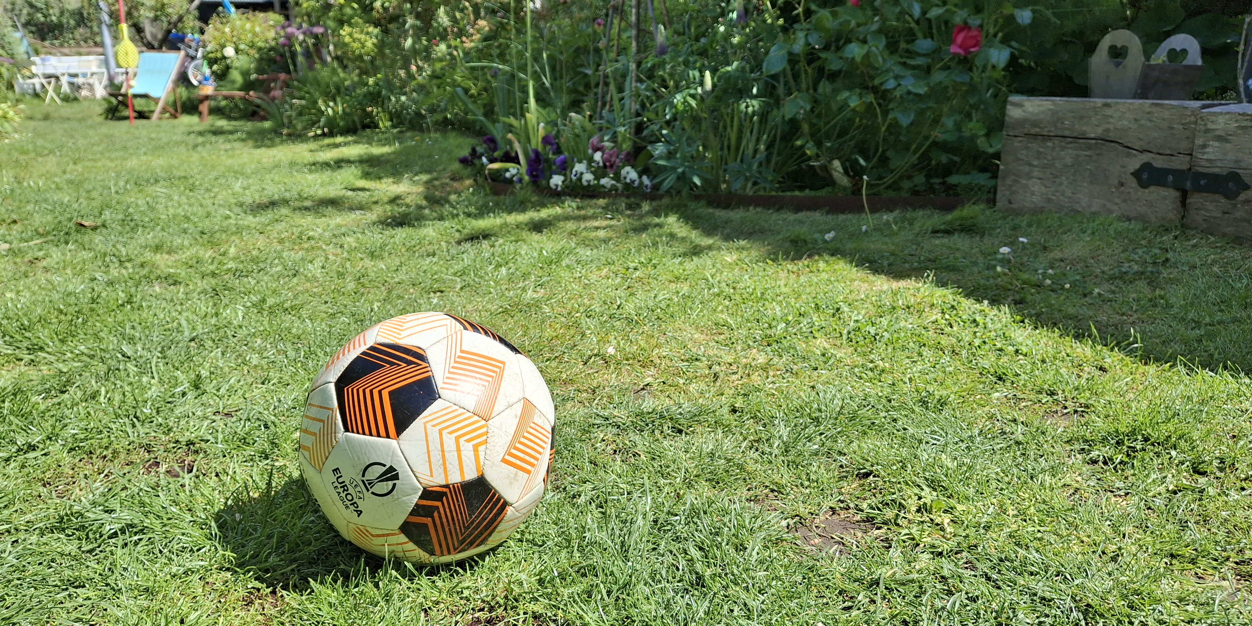 Patchy lawn