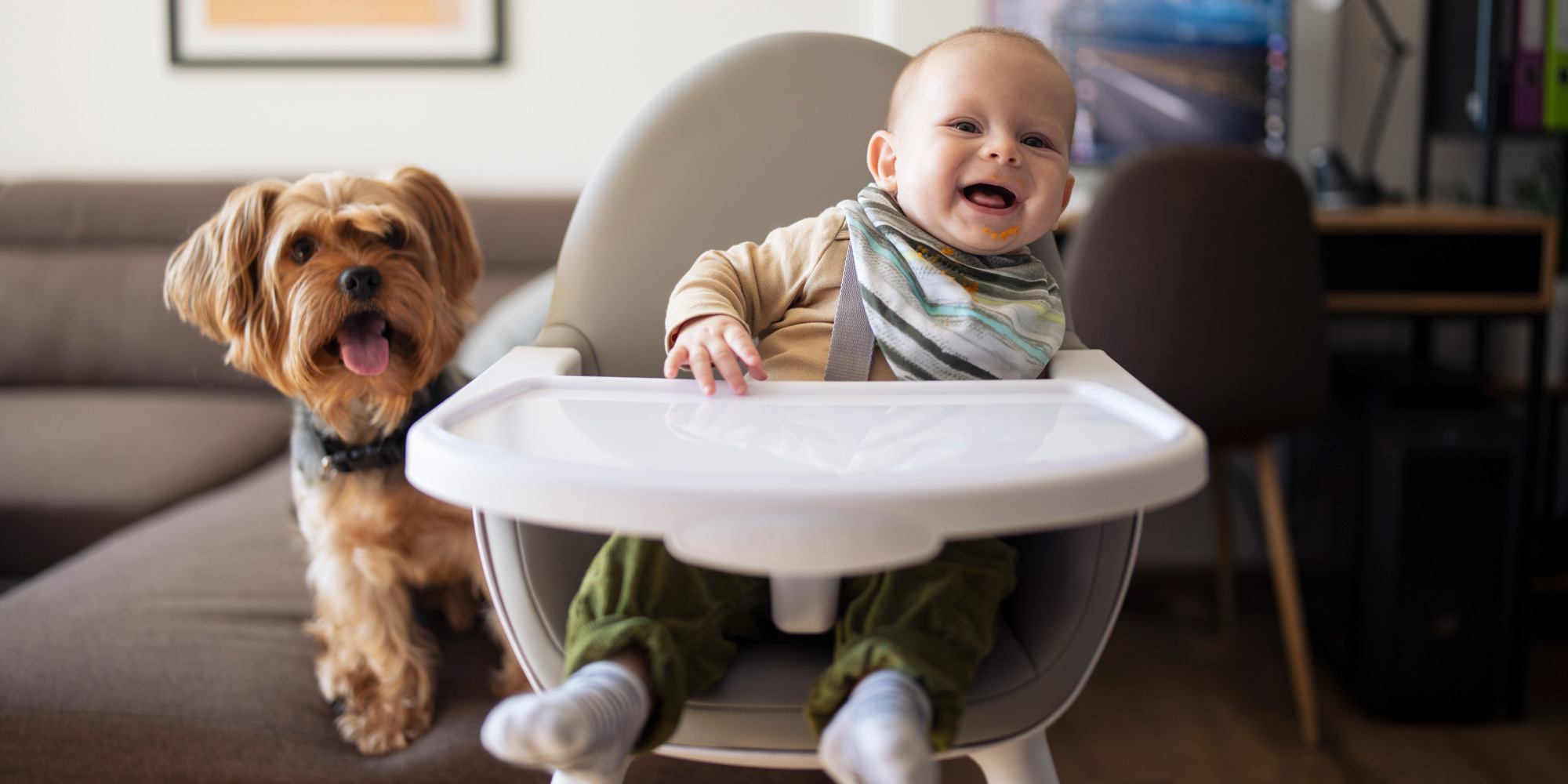 A joyful baby sits in a modern grey and white highchair with food on their face and bib. A small brown terrier dog stands right next to the chair, looking toward the camera.