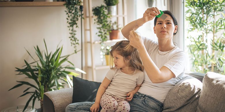Combing out head lice