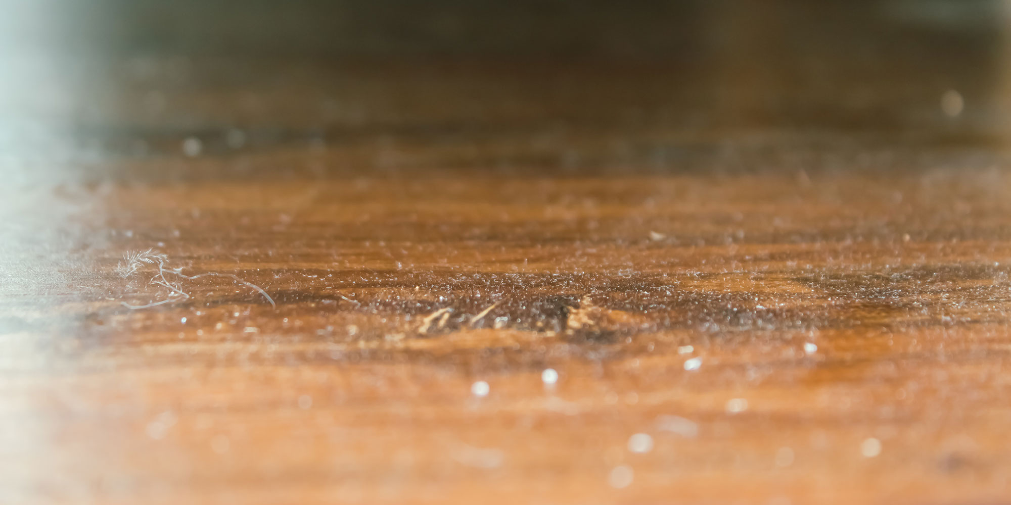 dust and dirt on hard wood floor