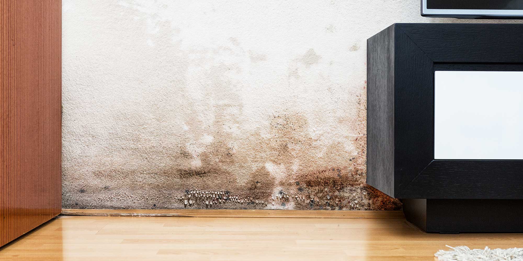 a damp wall
