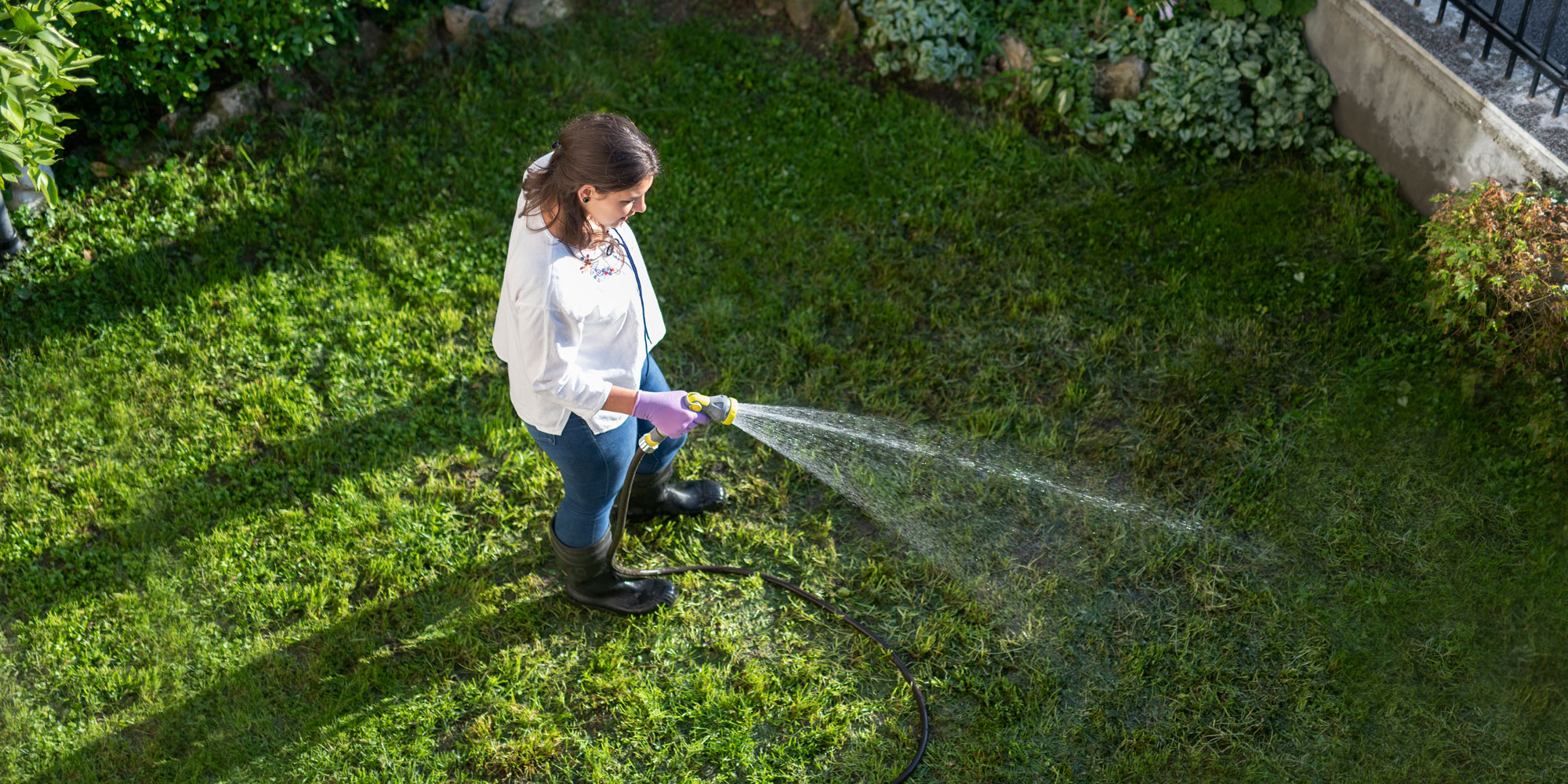 Watering grass