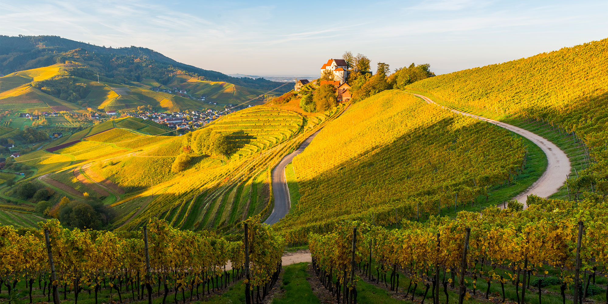 Black forest, Which? best scenic road trips Europe