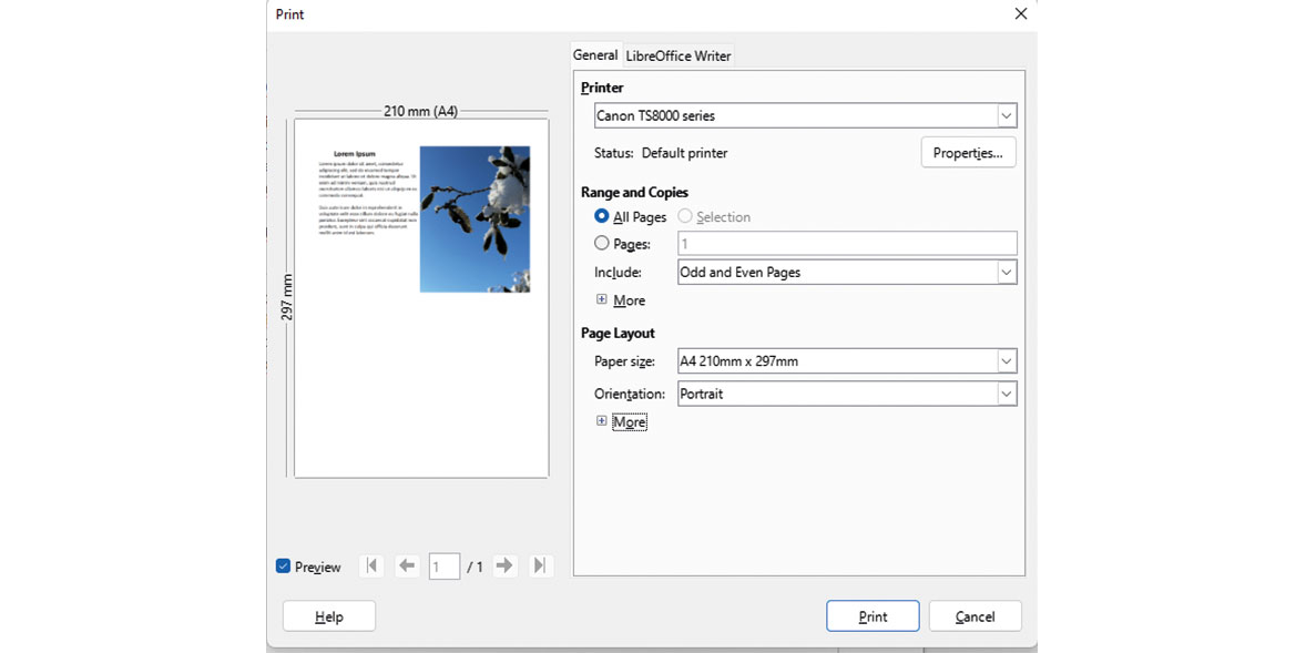 LibreOffice print page