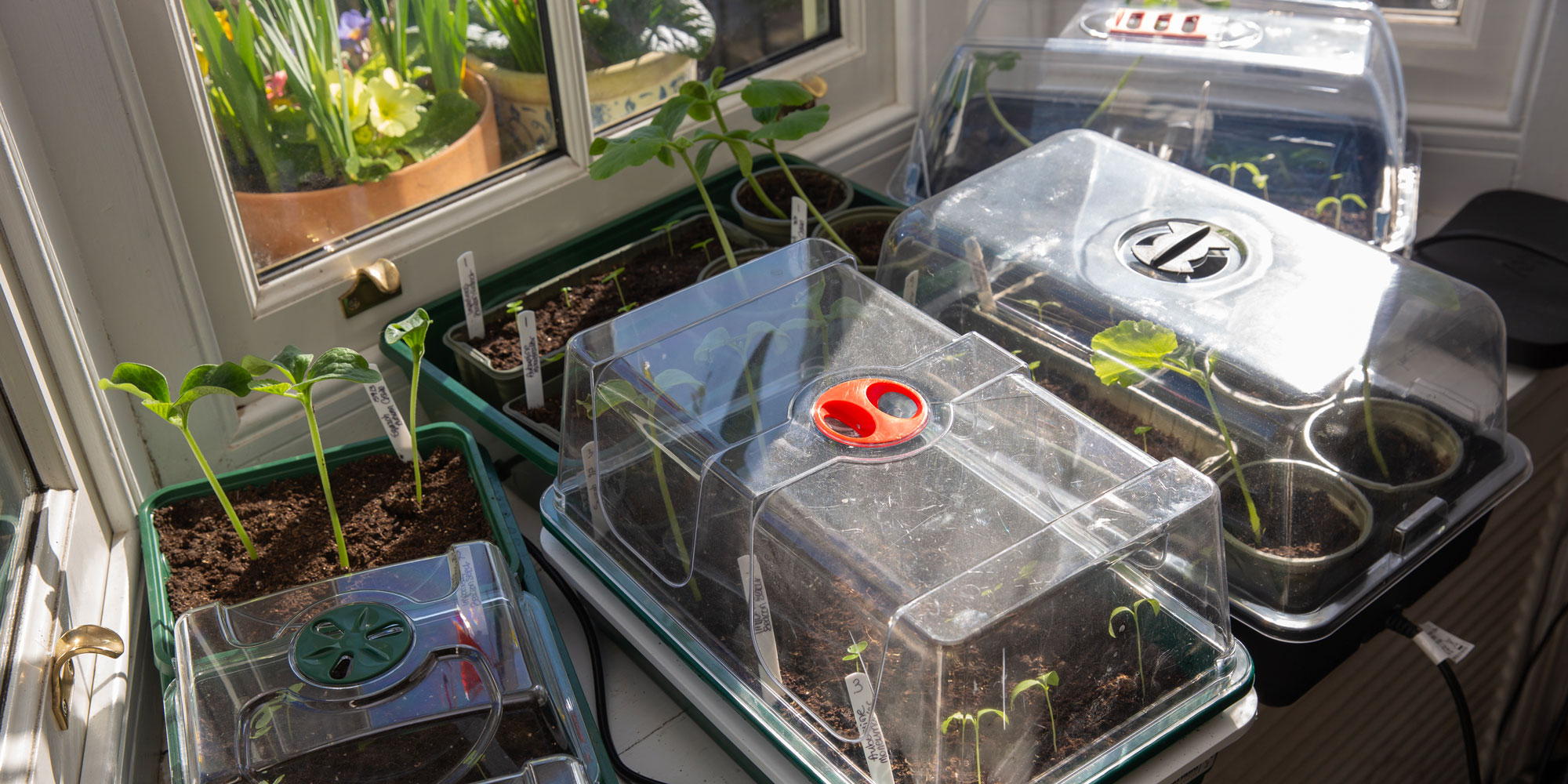 Trialling heated propagators