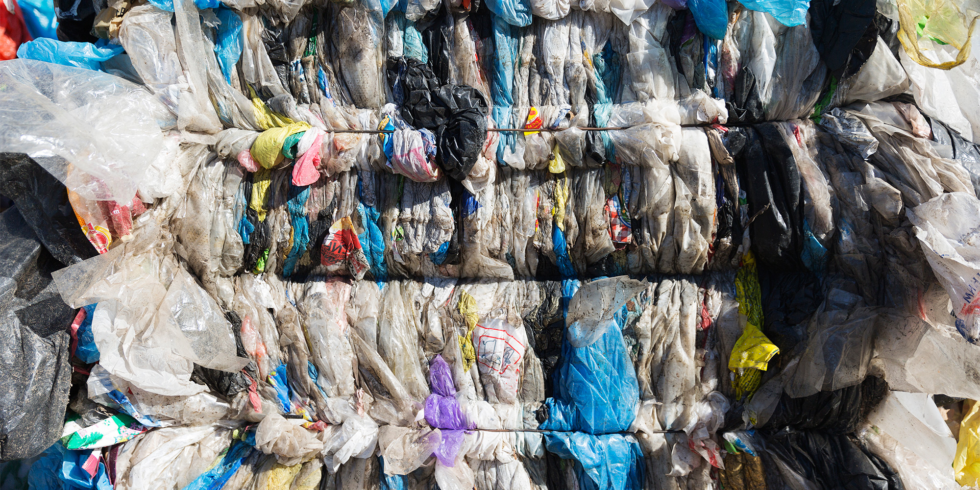 plastic bags collected for recycling
