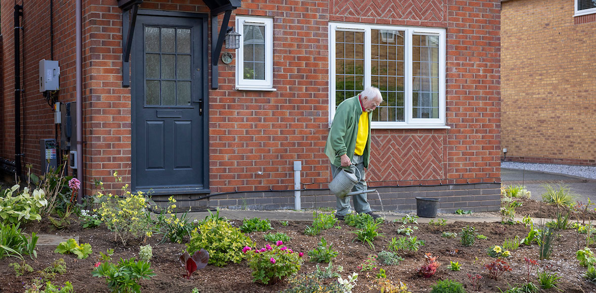 Watering newly planted plants
