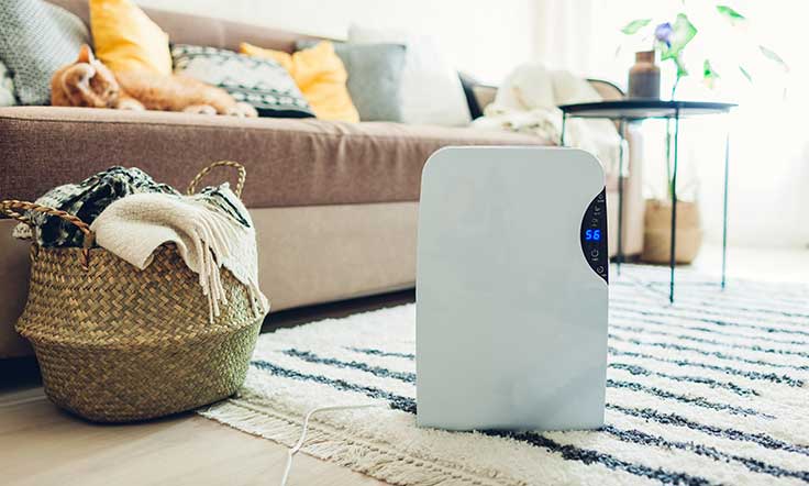 dehumidifier