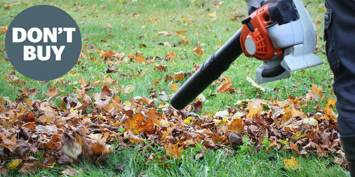 Which? Don't Buy leaf blowers Which?