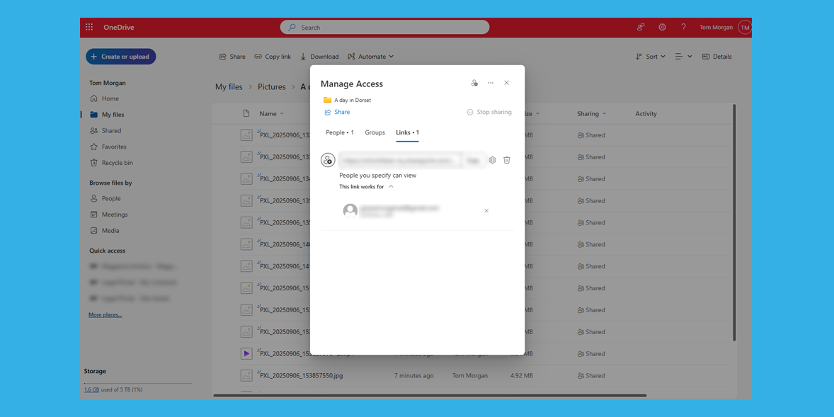 OneDrive file permissions