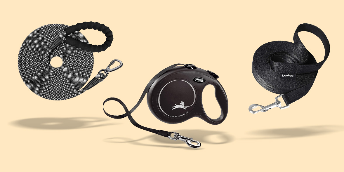 Black dog leads of varying length
