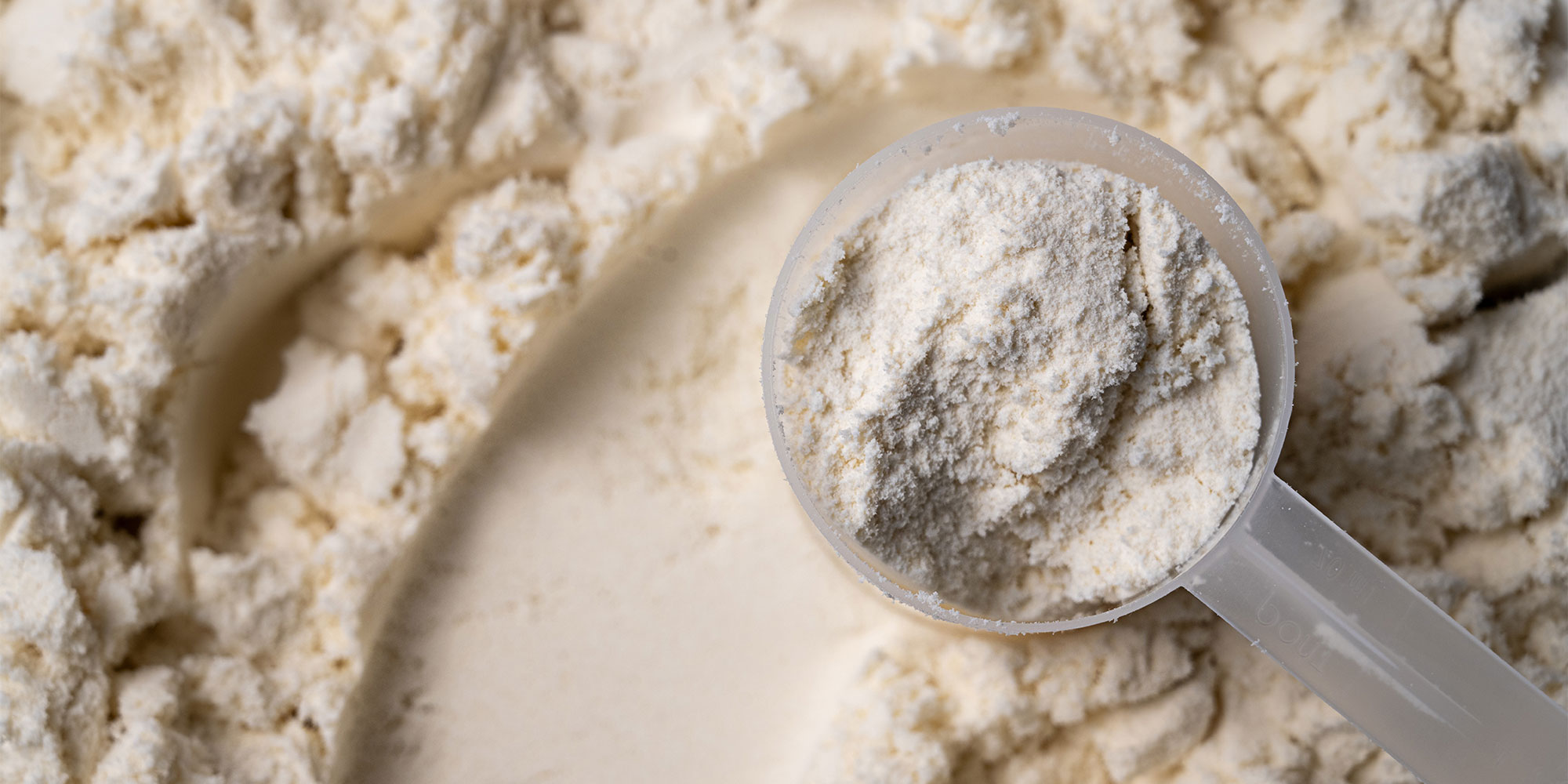 Protein powder with a scoop