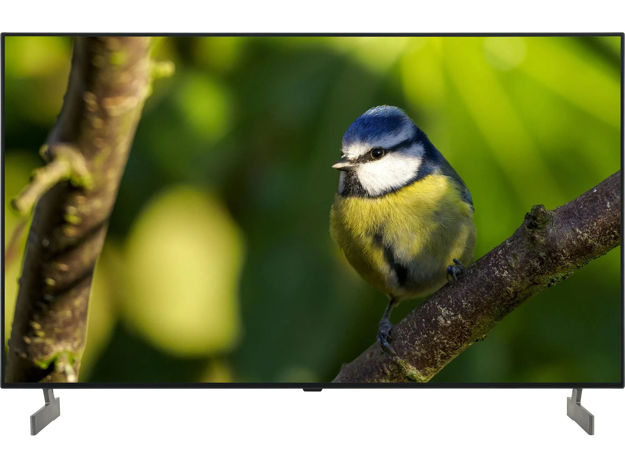LG OLED55B65LA tv