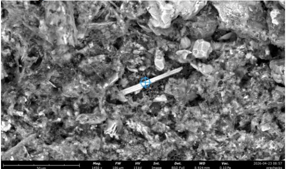 Tremolite found in sand containing asbestos