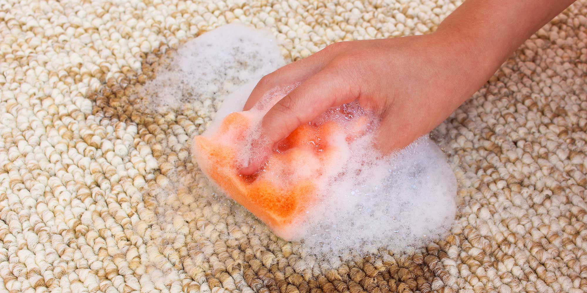 A cream and brown carpet being cleaned with an orange sponge and washing-up liquid.