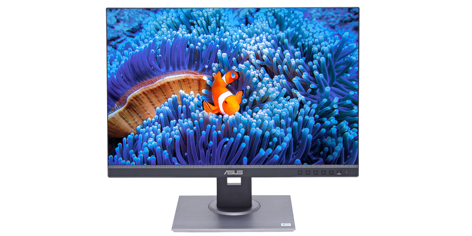 Asus ProArt PA248QV computer monitor