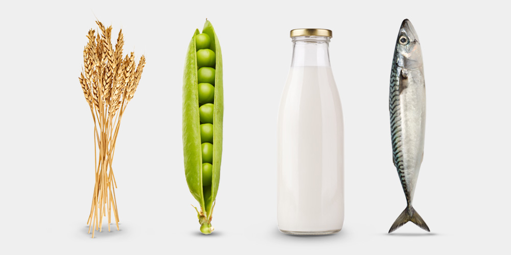 Nutrition sub vertical