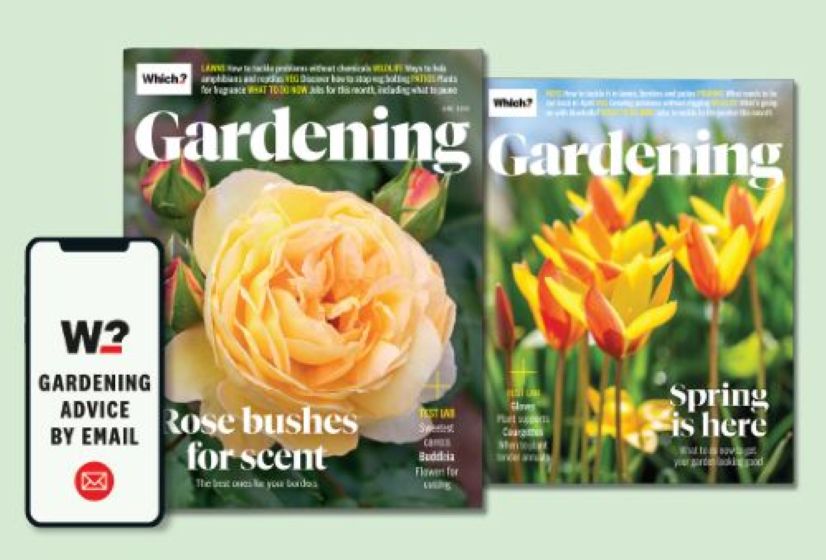 Magazines