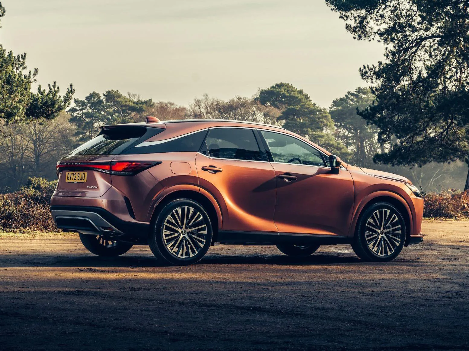 A lexus RX