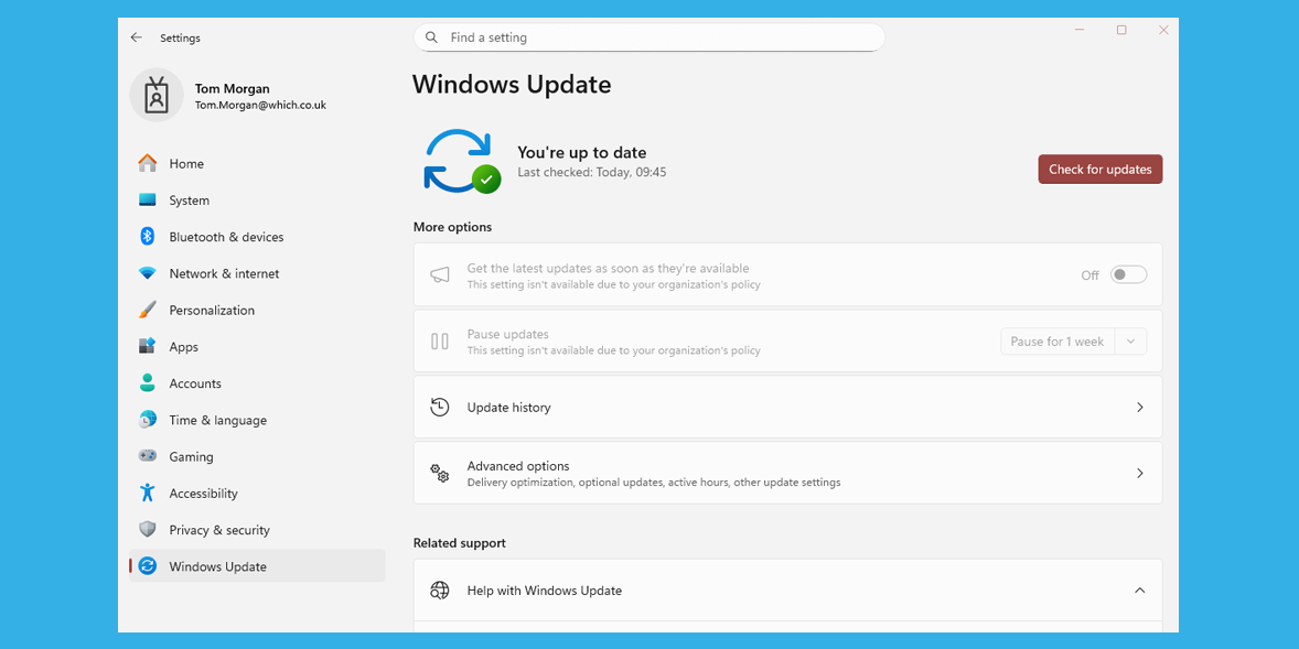 Windows update screen