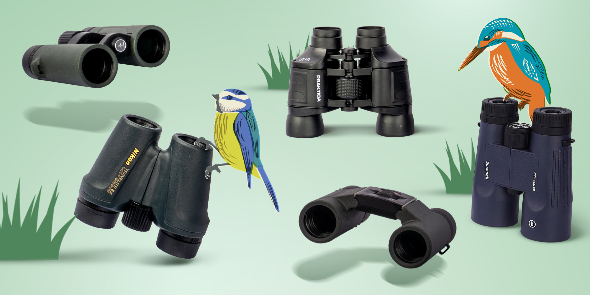 Lineup of binoculars on grass with a blue tit and a kingfisher