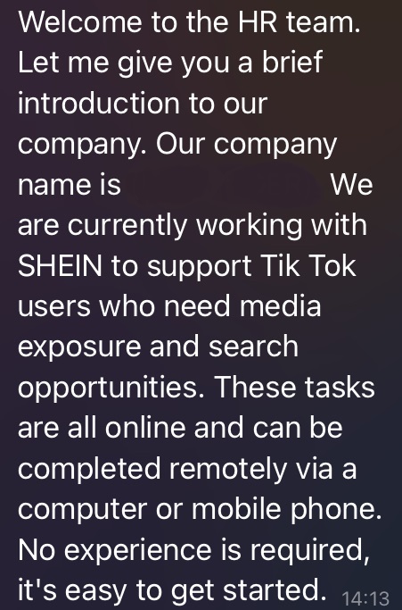 An admin on a Telegram group advertising a task scam involving TikTok