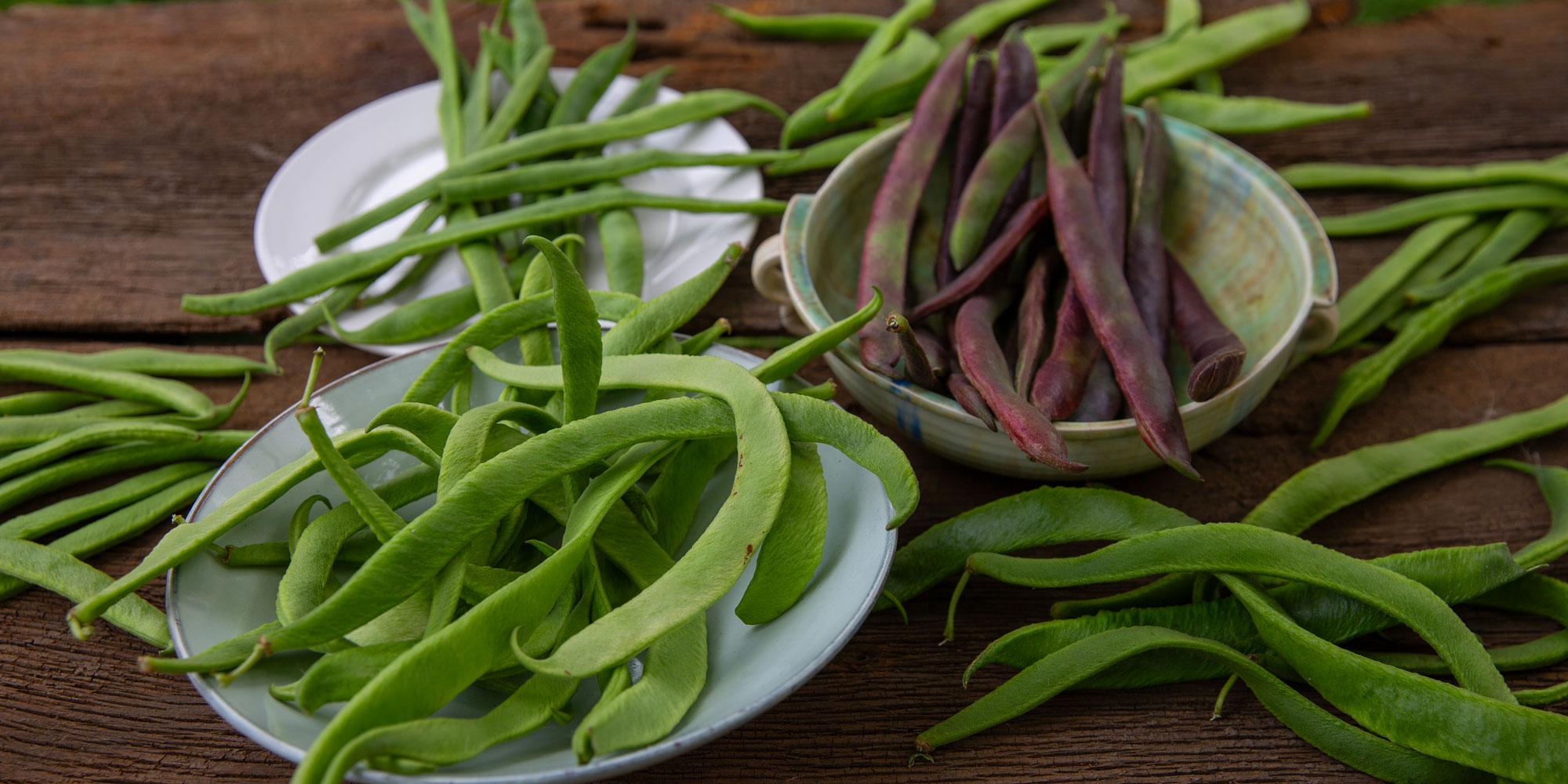 Different varieties of runner beans