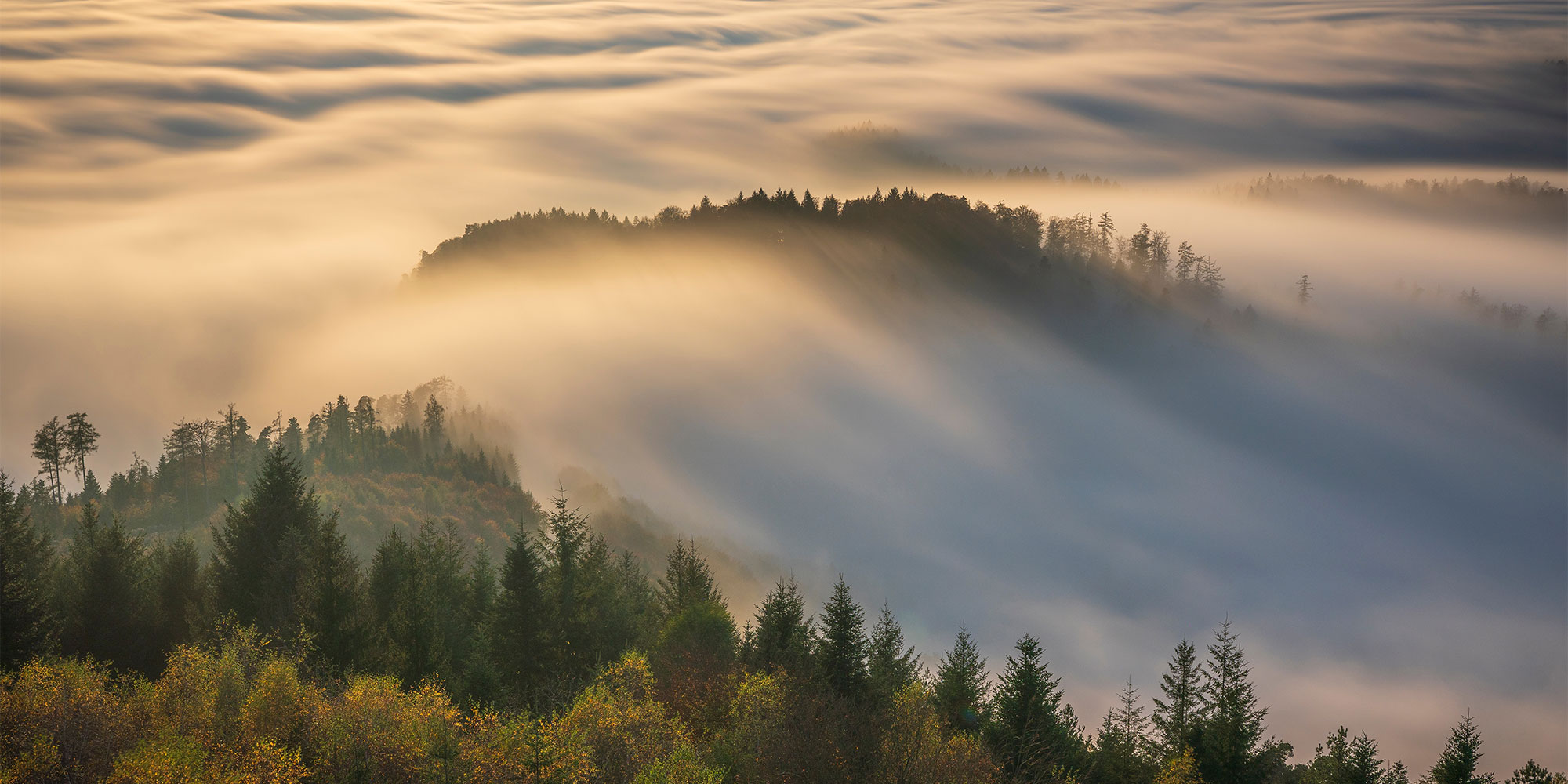 Black Forest, Germany, Which? best scenic road trips Europe
