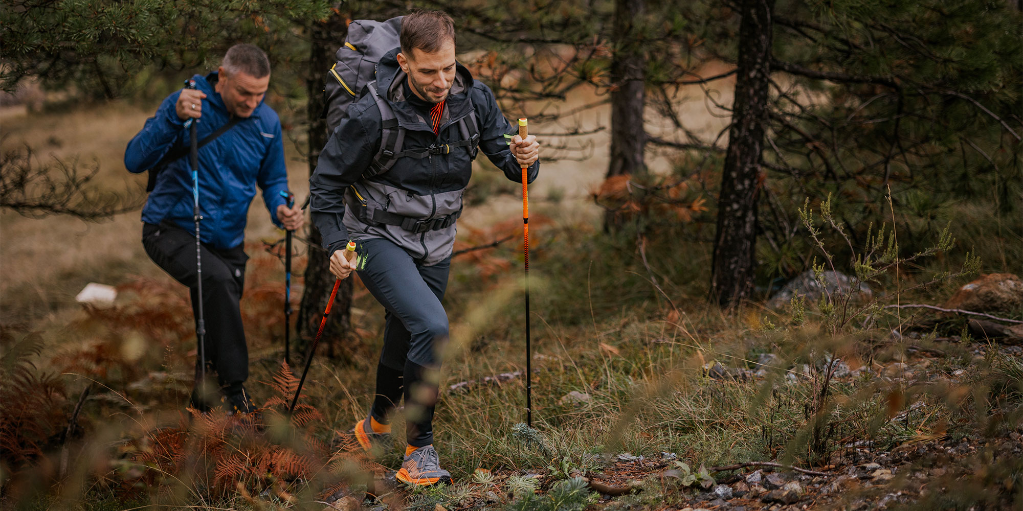 Two men hiking with a set of walking poles