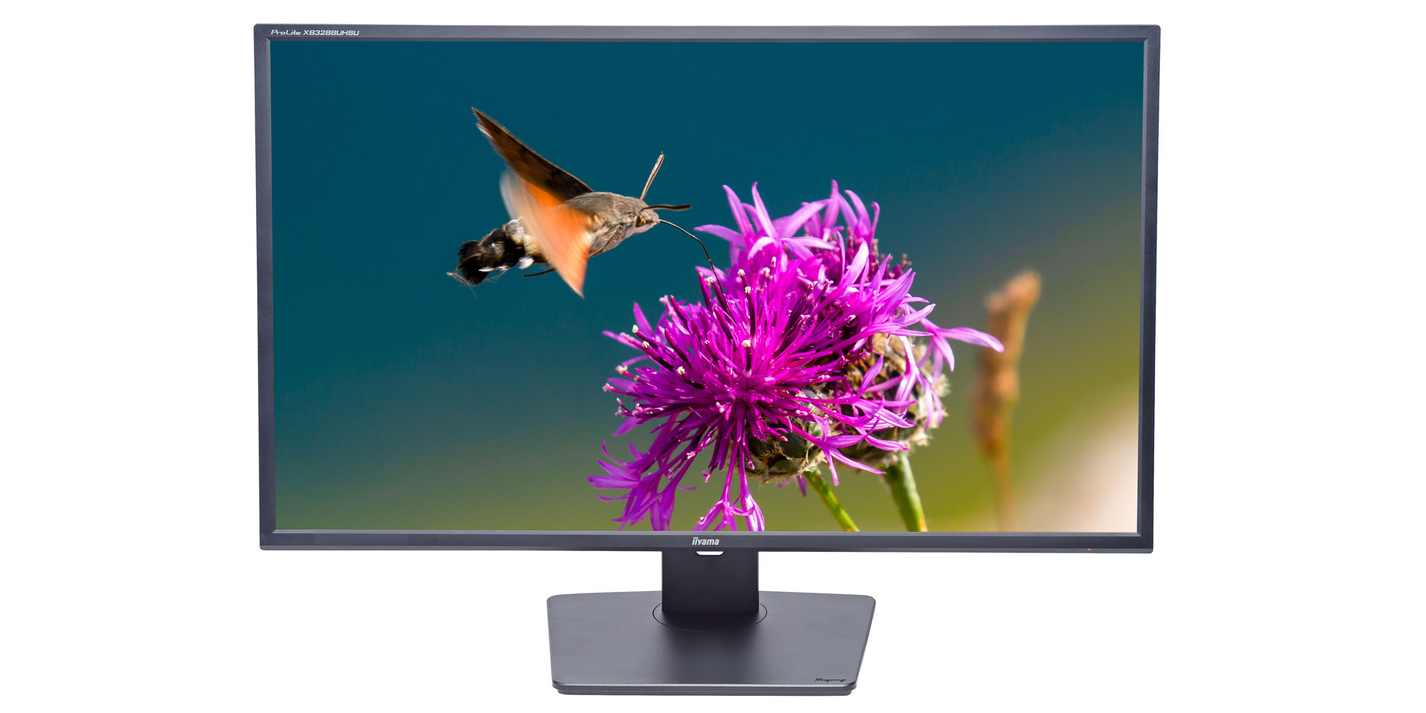 Liyama ProLite XB3288UHSU-B5 computer monitor