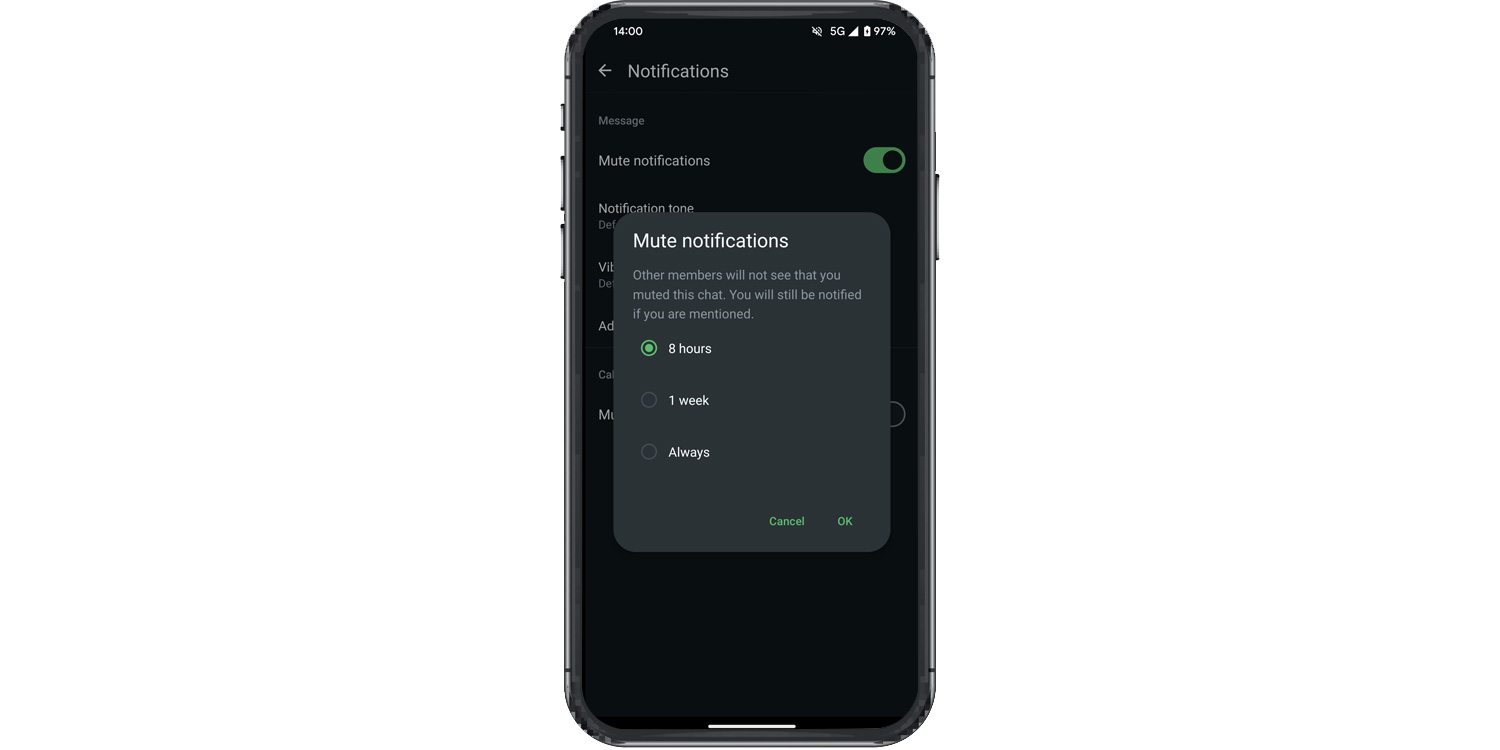 WhatsApp - mute notifications