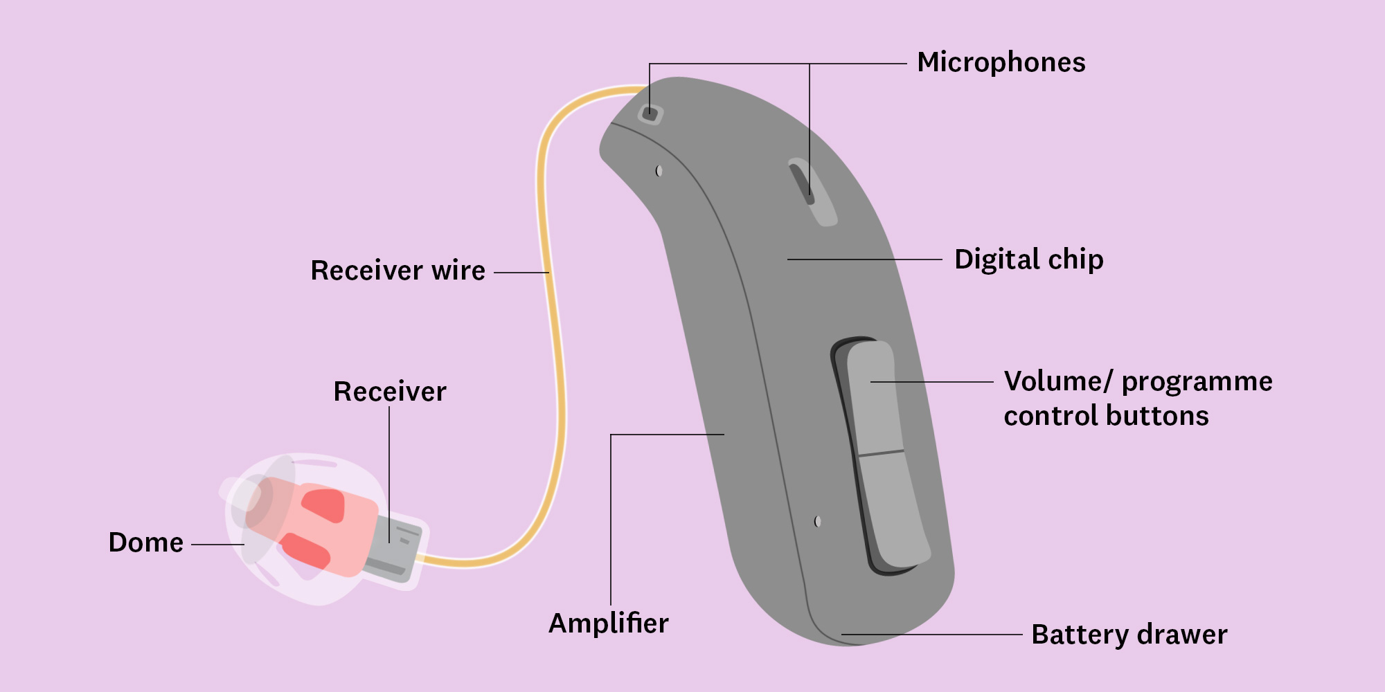 A picture of a hearing aid, showing all its parts