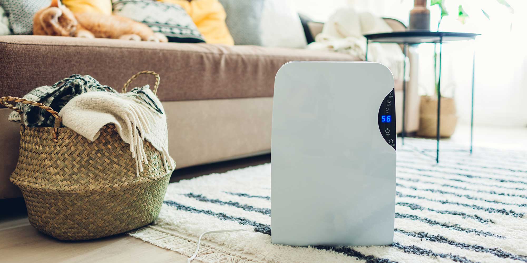A dehumidifier in a home
