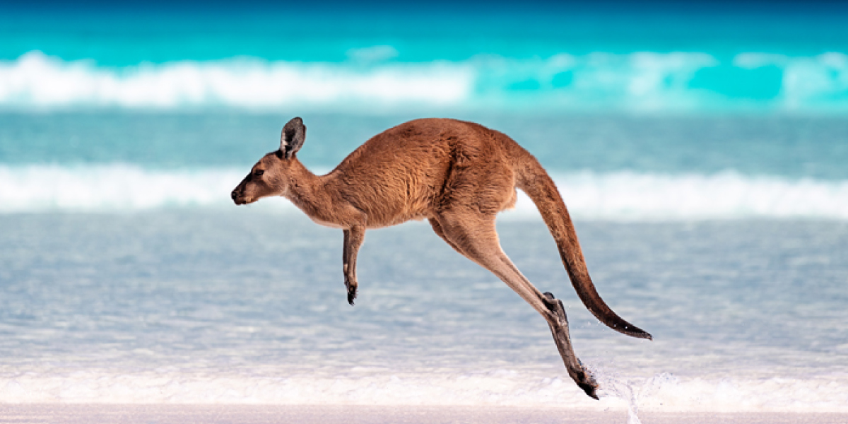 Which? Travel magazine covers