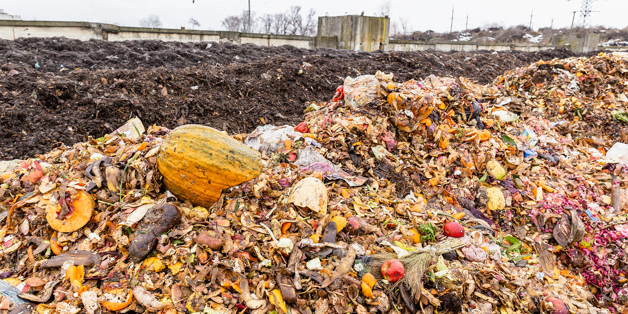 Food waste in landfill
