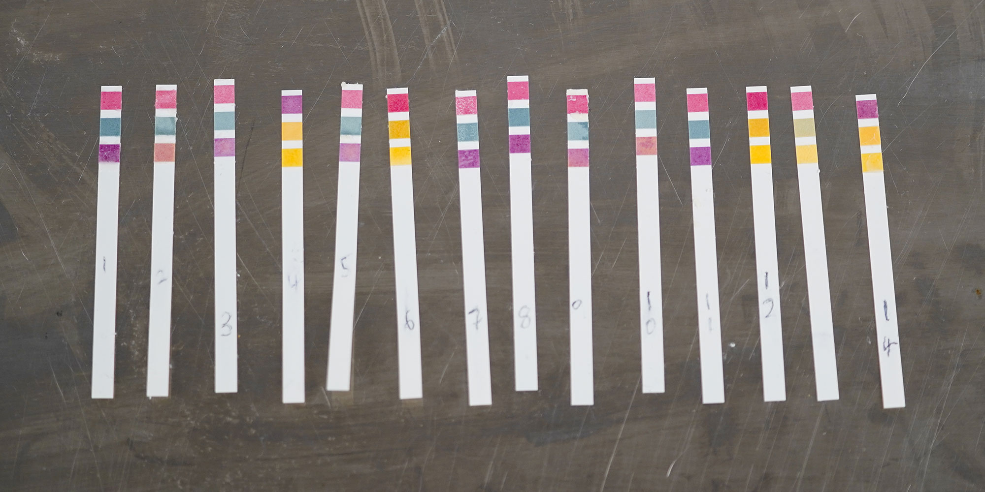 14 ph indicator papers, showing different colours