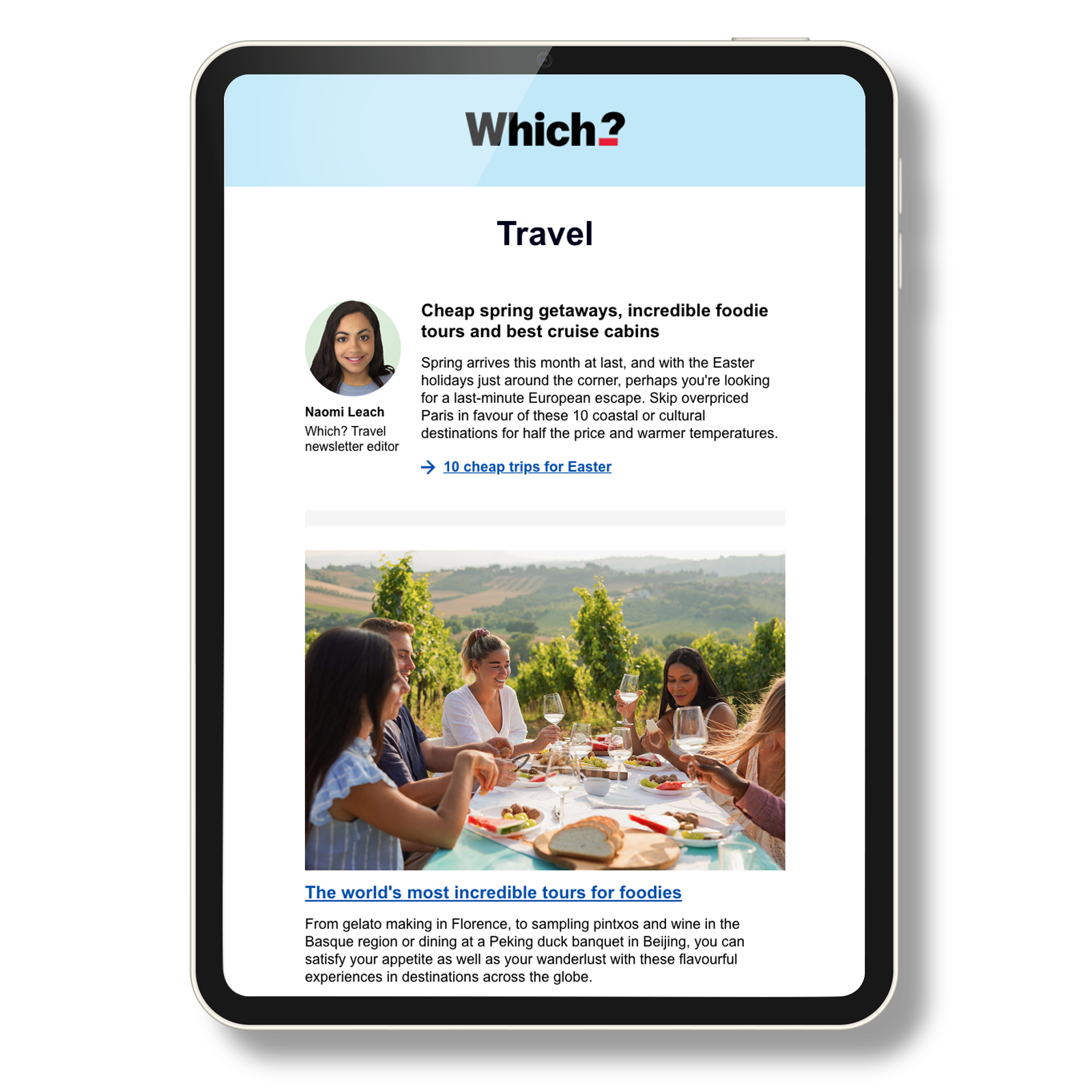 Travel newsletter promo