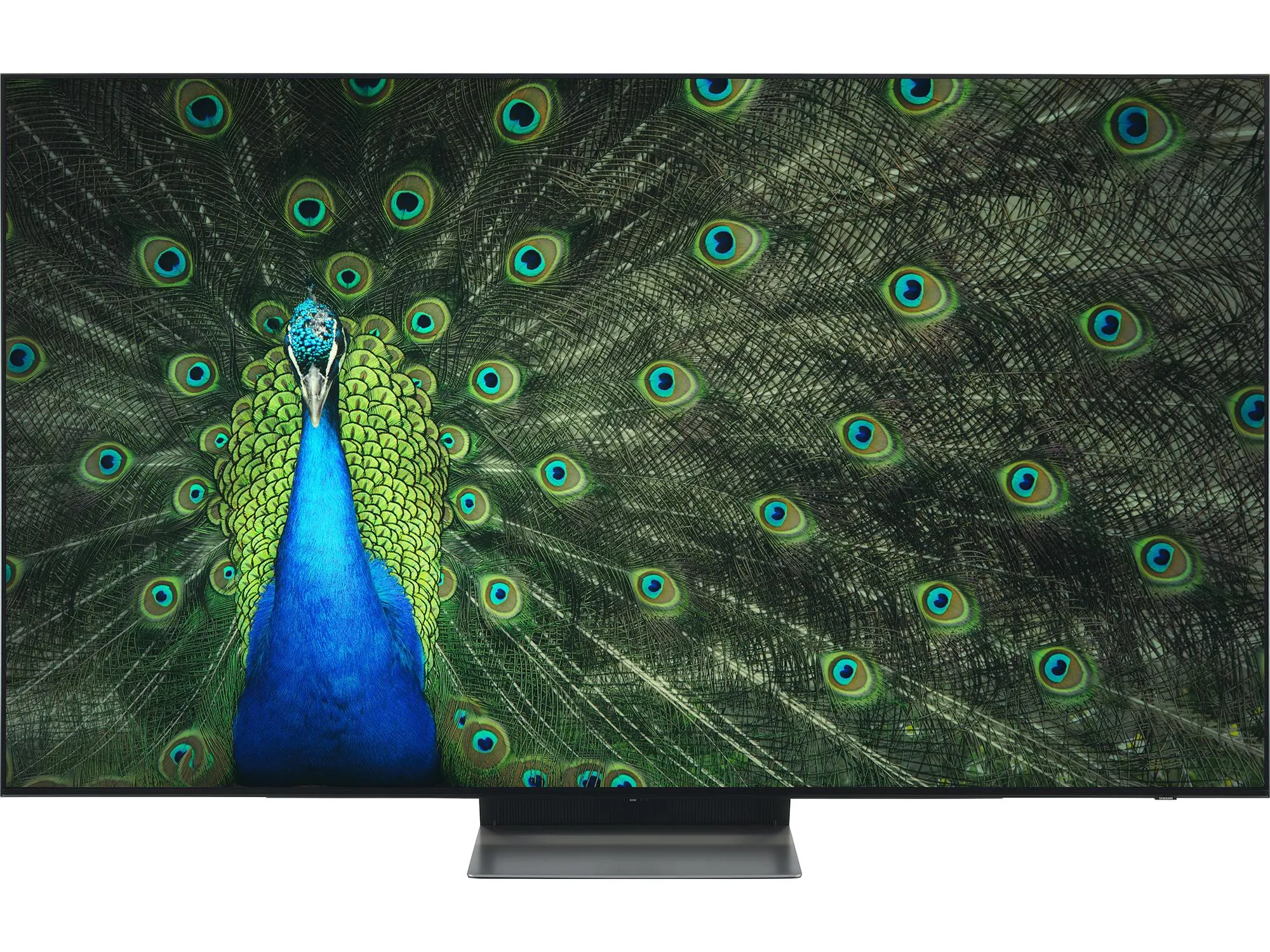 Samsung QE65S93F TV