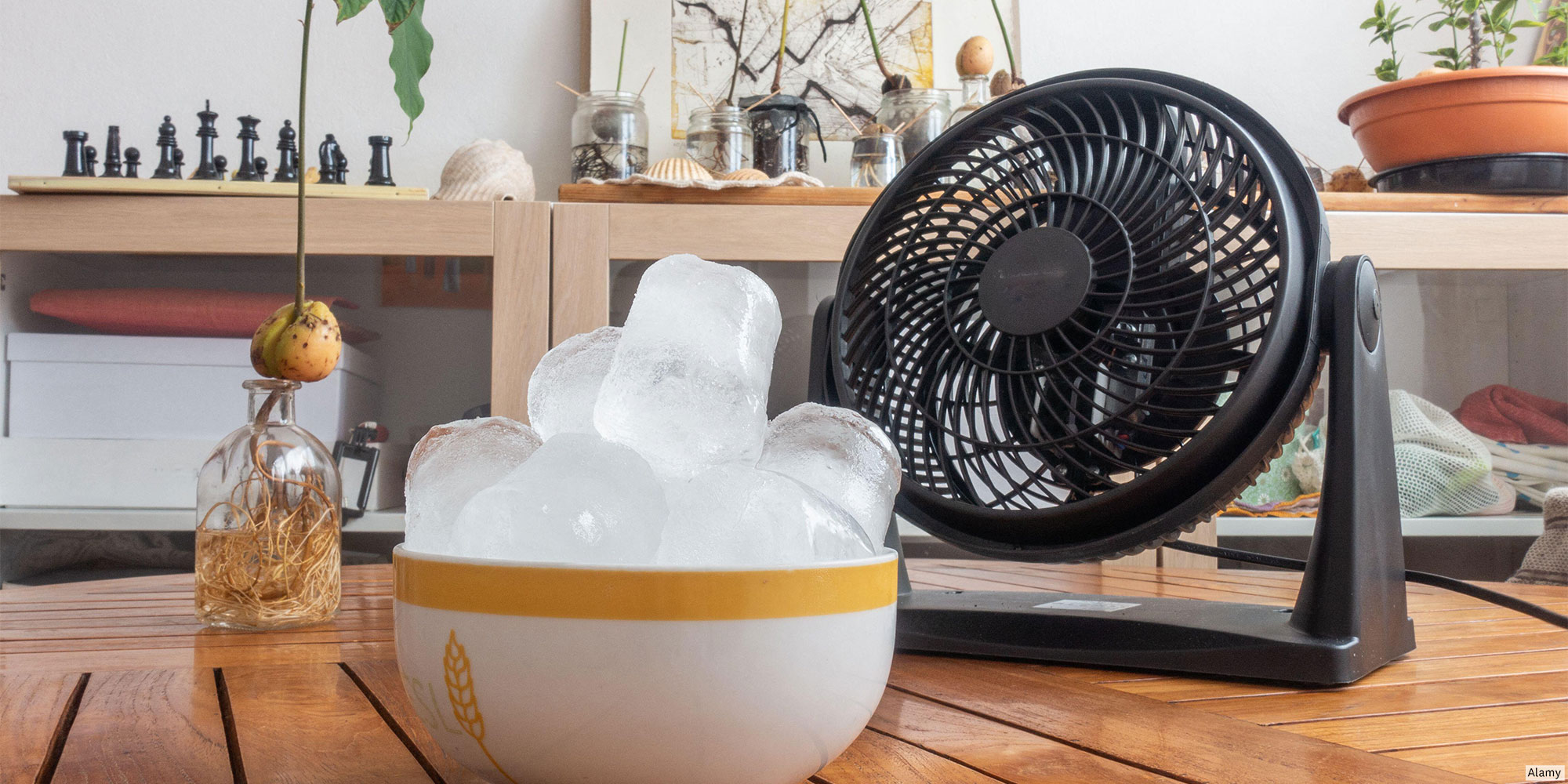 Ice in front of a fan