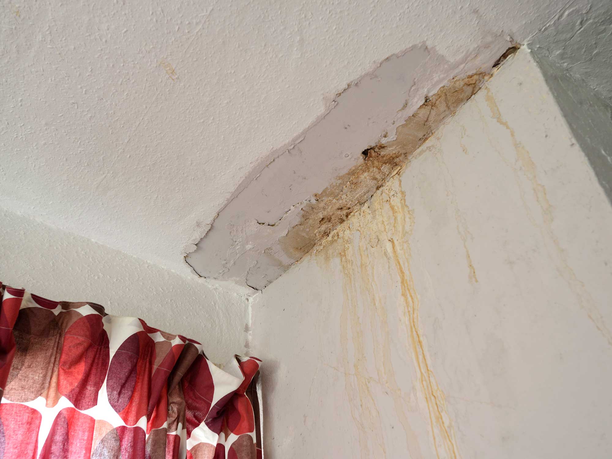 damp ceiling damage
