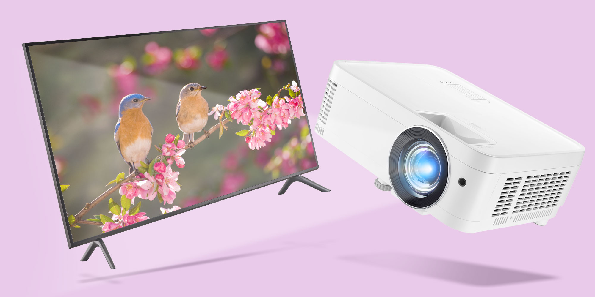 A TV versus a projector