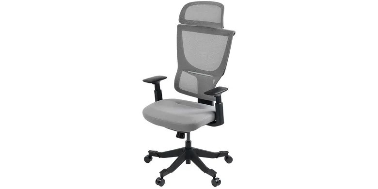 Flexispot Flexi Chair BS8