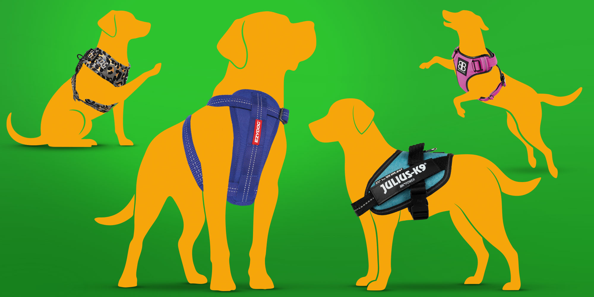An illustration showing four dogs wearing four of the harnesses we tested