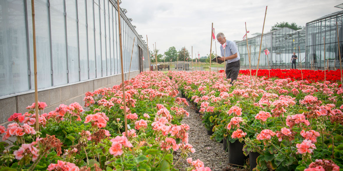 Testing controlled-release fertilisers